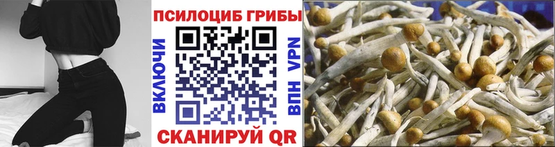 Галлюциногенные грибы прущие грибы  что такое   Остров 